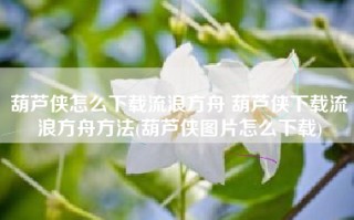 葫芦侠怎么下载流浪方舟 葫芦侠下载流浪方舟方法(葫芦侠图片怎么下载)