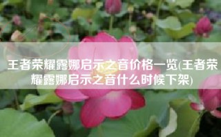 王者荣耀露娜启示之音价格一览(王者荣耀露娜启示之音什么时候下架)