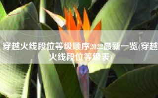 穿越火线段位等级顺序2022最新一览(穿越火线段位等级表)
