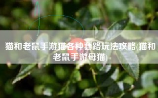 猫和老鼠手游猫各种套路玩法攻略(猫和老鼠手游母猫)