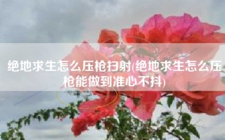 绝地求生怎么压枪扫射(绝地求生怎么压枪能做到准心不抖)