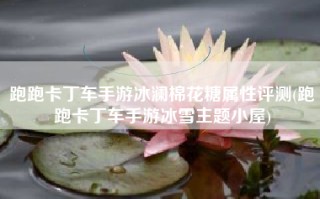 跑跑卡丁车手游冰澜棉花糖属性评测(跑跑卡丁车手游冰雪主题小屋)