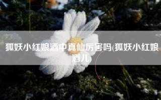 狐妖小红娘酒中真仙厉害吗(狐妖小红娘酒儿)