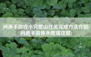 问道手游钱小穷爬山任务完成方法介绍(问道手游体木爬塔攻略)