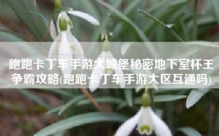 跑跑卡丁车手游大城堡秘密地下室杯王争霸攻略(跑跑卡丁车手游大区互通吗)