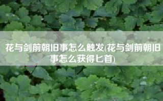 花与剑前朝旧事怎么触发(花与剑前朝旧事怎么获得匕首)
