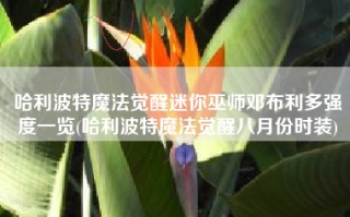 哈利波特魔法觉醒迷你巫师邓布利多强度一览(哈利波特魔法觉醒八月份时装)