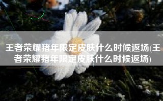 王者荣耀猪年限定皮肤什么时候返场(王者荣耀猪年限定皮肤什么时候返场)