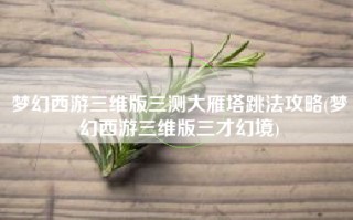 梦幻西游三维版三测大雁塔跳法攻略(梦幻西游三维版三才幻境)
