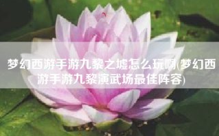 梦幻西游手游九黎之墟怎么玩啊(梦幻西游手游九黎演武场最佳阵容)