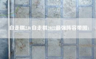 自走棋2.0(自走棋2022最强阵容带图)