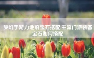 梦幻手游力地府宝石搭配,主流门派装备宝石如何搭配