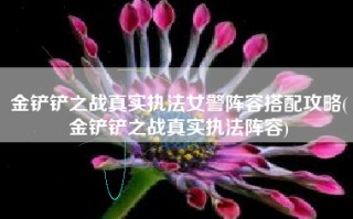 金铲铲之战真实执法女警阵容搭配攻略(金铲铲之战真实执法阵容)