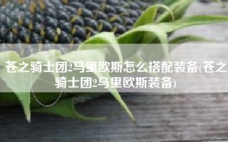 苍之骑士团2马里欧斯怎么搭配装备(苍之骑士团2马里欧斯装备)