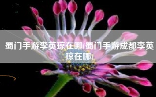 蜀门手游李英琼在哪(蜀门手游成都李英琼在哪)