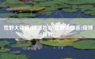 荒野大镖客2赌博地点(荒野大镖客2赌博规则)