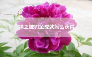 猫之城钓鱼成就怎么获得