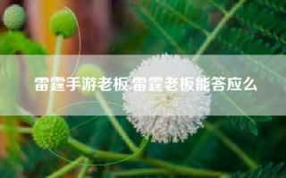 雷霆手游老板,雷霆老板能答应么