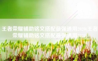 王者荣耀辅助铭文搭配最强通用2020(王者荣耀辅助铭文搭配最强通用2020)