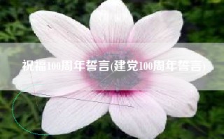 祝福100周年誓言(建党100周年誓言)