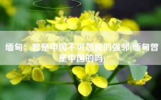 缅甸：曾是中国不可忽视的强邻(缅甸曾是中国的吗)