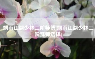 烟雨江湖少林二阶师傅(烟雨江湖少林二阶拜师选择)