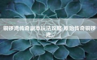 铜锣湾传奇副本玩法攻略(原始传奇铜锣湾)