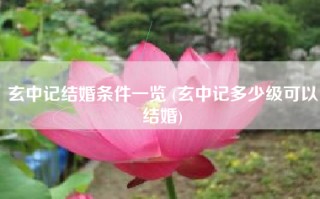 玄中记结婚条件一览 (玄中记多少级可以结婚)