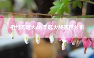 相约圣诞大战(圣诞大战赛程公布)