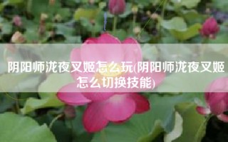 阴阳师泷夜叉姬怎么玩(阴阳师泷夜叉姬怎么切换技能)