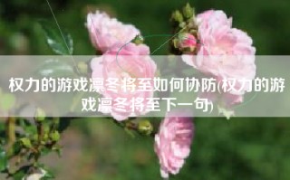 权力的游戏凛冬将至如何协防(权力的游戏凛冬将至下一句)