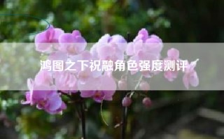 鸿图之下祝融角色强度测评