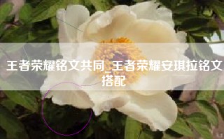 王者荣耀铭文共同_王者荣耀安琪拉铭文搭配