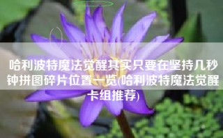 哈利波特魔法觉醒其实只要在坚持几秒钟拼图碎片位置一览(哈利波特魔法觉醒卡组推荐)