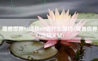 魔兽世界9.2浩劫DH选什么盟约 (魔兽世界9.2浩劫天赋)