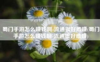 蜀门手游怎么赚钱啊-流通银好难赚(蜀门手游怎么赚钱啊-流通银好难赚)