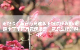 跑跑卡丁车官方竞速版下坡漂移攻略(跑跑卡丁车官方竞速版是一款怎么样的游戏)