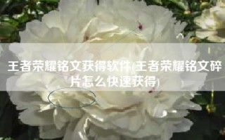 王者荣耀铭文获得软件(王者荣耀铭文碎片怎么快速获得)