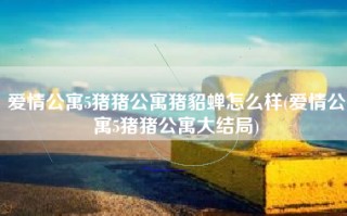 爱情公寓5猪猪公寓猪貂蝉怎么样(爱情公寓5猪猪公寓大结局)