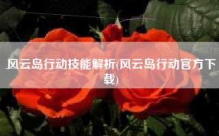风云岛行动技能解析(风云岛行动官方下载)