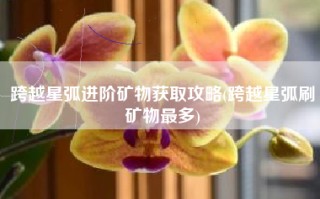 跨越星弧进阶矿物获取攻略(跨越星弧刷矿物最多)