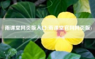 雨课堂网页版入口(雨课堂官网网页版)