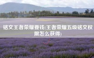 铭文王者荣耀要钱(王者荣耀五级铭文权限怎么获得)
