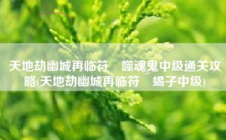 天地劫幽城再临符箓噬魂鬼中级通关攻略(天地劫幽城再临符箓蝎子中级)