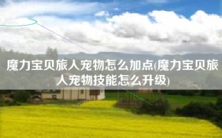 魔力宝贝旅人宠物怎么加点(魔力宝贝旅人宠物技能怎么升级)