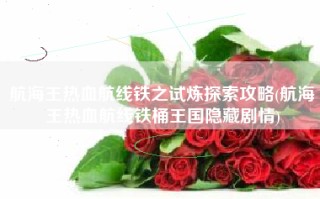 航海王热血航线铁之试炼探索攻略(航海王热血航线铁桶王国隐藏剧情)