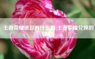 王者荣耀银豆有什么用(王者荣耀兑换的银豆)