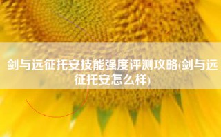 剑与远征托安技能强度评测攻略(剑与远征托安怎么样)