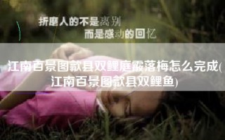 江南百景图歙县双鲤庭霰落梅怎么完成(江南百景图歙县双鲤鱼)