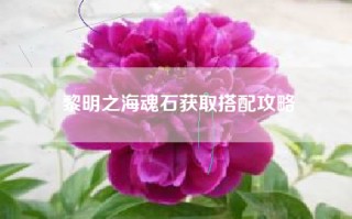 黎明之海魂石获取搭配攻略